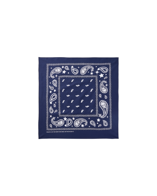 Flying B Paisley Bandana