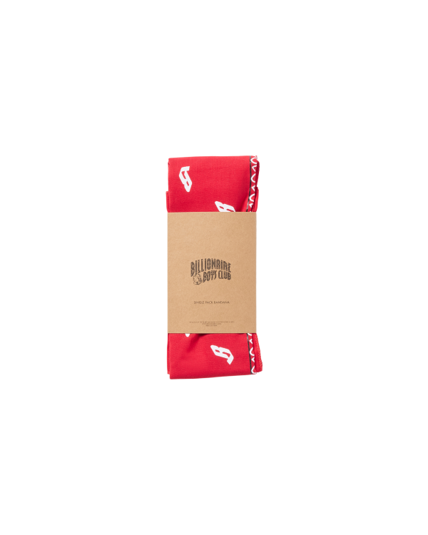 Flying B Paisley Bandana - Image 2