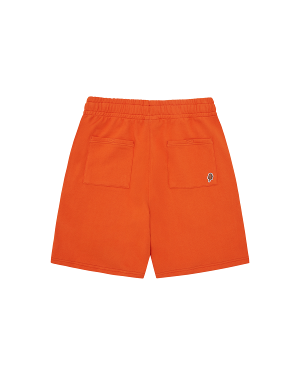 Collegiate Puppy Shorts - Image 2
