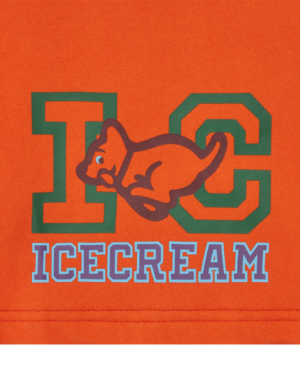 Collegiate Puppy Shorts - Image 3