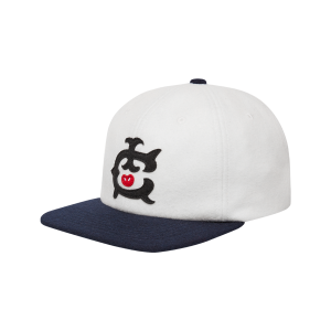 IC 6 Panel Cap