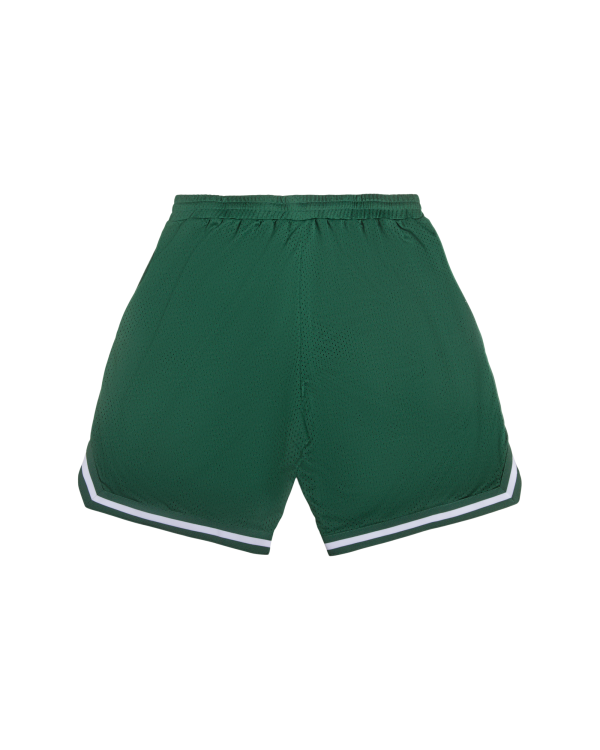 Team IC Running Dog Basketball Short - Image 2