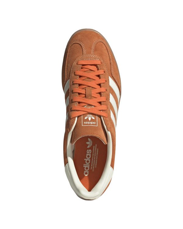 Gazelle Indoor - Image 3