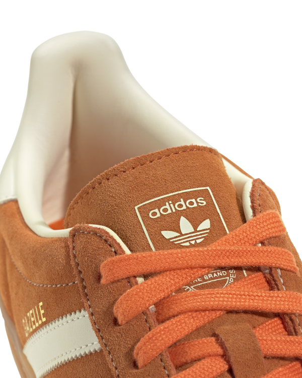 Gazelle Indoor - Image 5