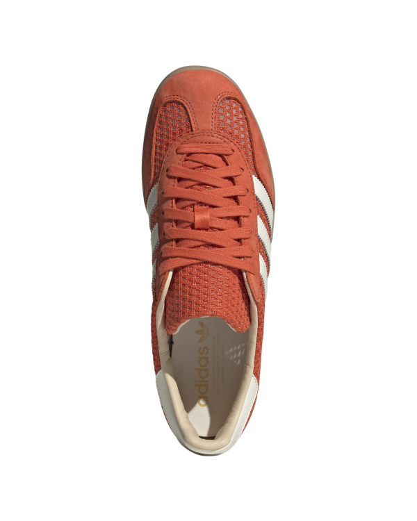 Gazelle Indoor - Image 3