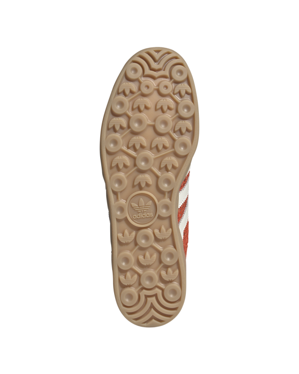 Gazelle Indoor - Image 4
