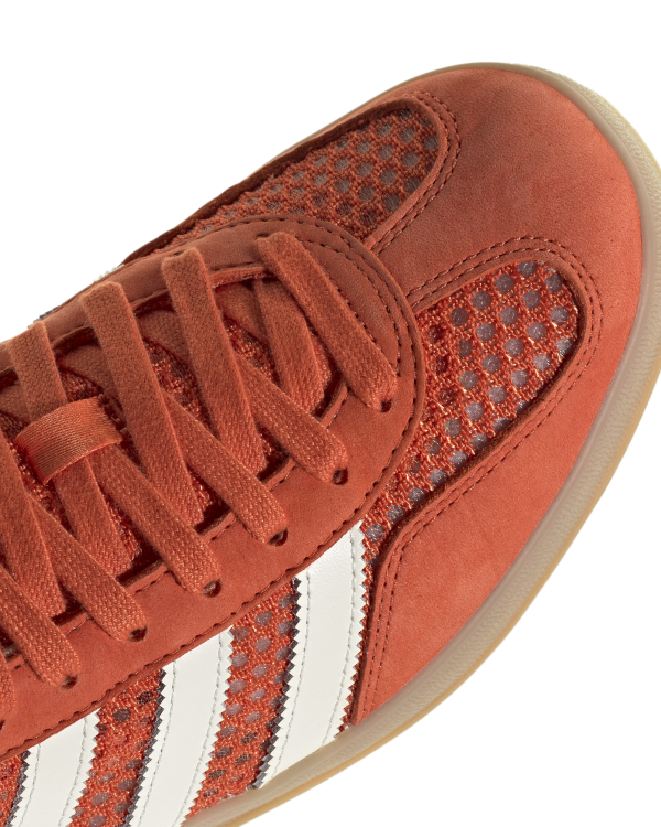 Gazelle Indoor - Image 5